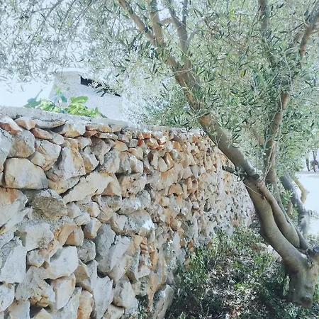 Lavender House * Mandre