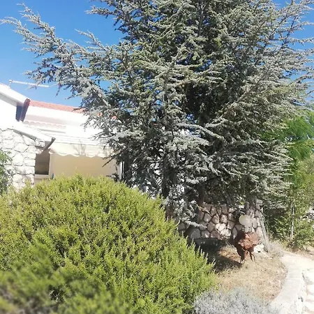 Lavender House * Mandre