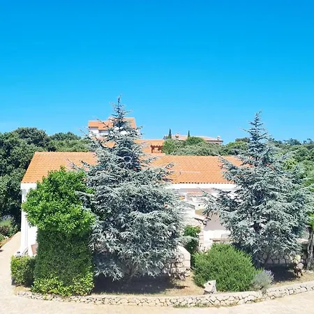 Lavender House