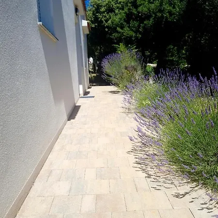 Lavender House Mandre