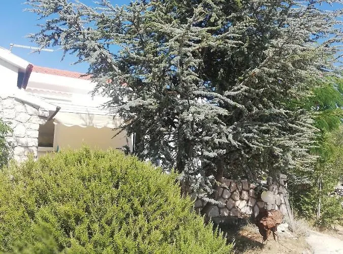 Lavender House * Mandre
