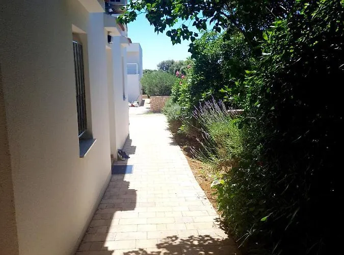 Lavender House Mandre