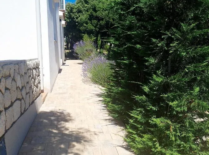 Lavender House