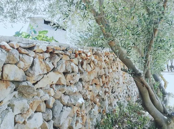 Lavender House * 만드레