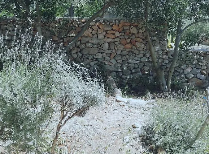 Lavender House