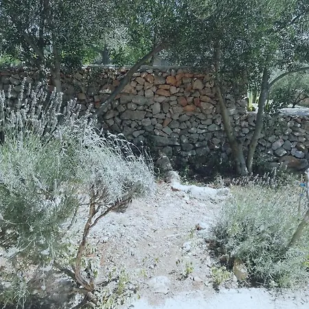 Lavender House