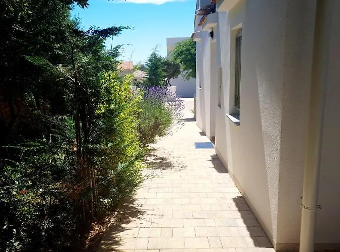 Dom wakacyjny Lavender House *